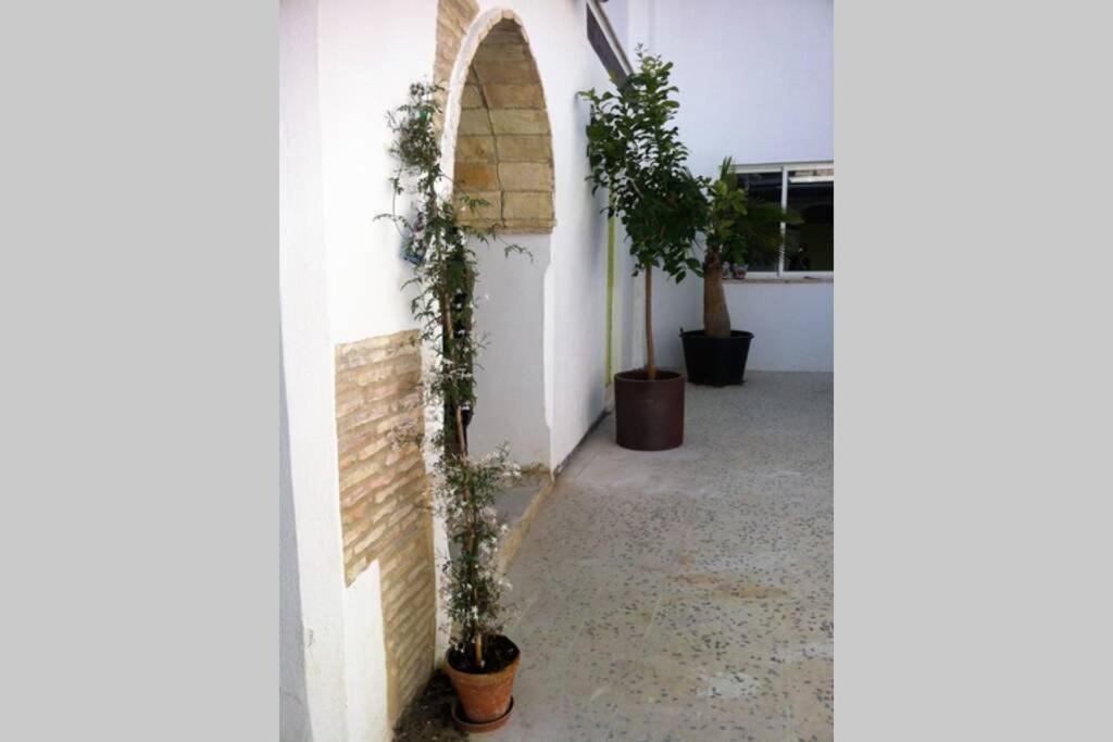 Ferienwohnung Casa Florinda #7 Jerez de la Frontera Exterior foto